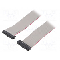 FC24150-0; Ribbon cable with IDC connectors; 24x28AWG; Cable ph: 1.27mm; AMPHENOL