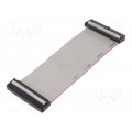 FC40300-S; Ribbon cable with IDC connectors; 40x28AWG; Cable ph: 1.27mm; AMPHENOL FC40300-S; Ribbon cable with IDC connectors; 40x28AWG; Cable ph: 1.27mm; AMPHENOL