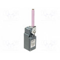 FM 553-E0V9; Limit switch; porcelain roller Ø9x57mm R 80mm; NO + NC; 10A; PIZZATO ELETTRICA