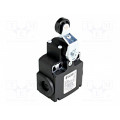FX 551; Limit switch; lever R 40mm, plastic roller Ø20mm; NO + NC; 10A; PIZZATO ELETTRICA
