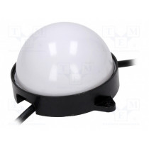 HC-F24V-F100-12L-WS2811 MILKY WHITE; Module: LED; Colour: RGB; IP68; 180°; No.of diodes: 12; Ø100mm; 24V; WORLDSEMI
