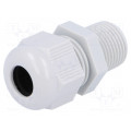 HT 3/8” RAL7035 BSK NPT; Cable gland; NPT3/8 HT 3/8” RAL7035 BSK NPT; Cable gland; NPT3/8