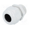 HT 3/4” RAL7035 BSK NPT; Cable gland; NPT3/4 HT 3/4” RAL7035 BSK NPT; Cable gland; NPT3/4