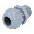 HT 1/2” - 16 RAL7001 BSK NPT; Cable gland; NPT1/2 HT 1/2” - 16 RAL7001 BSK NPT; Cable gland; NPT1/2