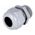 HT 3/4” RAL7001 BSK NPT; Cable gland; NPT3/4 HT 3/4” RAL7001 BSK NPT; Cable gland; NPT3/4