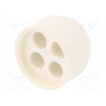 1.089.2100.19; Insert for gland; with thread NPT; Size: NPT3/4