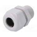 1.219.2000.30; Cable gland; with long thread; M20; IP68; Mat: polyamide; grey; HUMMEL