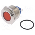 IND22-24R-C; Indicator: LED; flat; 24VDC; 24VAC; Cutout: Ø22mm; brass; NINIGI