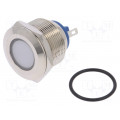 IND22-24W-C; Indicator: LED; flat; 24VDC; 24VAC; Cutout: Ø22mm; brass; NINIGI