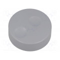CL71671A; Knob; without pointer; plastic; Øshaft: 6mm; Ø39.6x13.5mm; grey; CLIFF