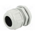 93600-0424 7000.7835.5; Cable gland; PG29; IP68; Mat: polyamide; dark grey; UL94V-2; MOLEX 93600-0424 7000.7835.5; Cable gland; PG29; IP68; Mat: polyamide; dark grey; UL94V-2; MOLEX