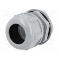 93600-0430 7000.7836.5; Cable gland; PG36; IP68; Mat: polyamide; dark grey; UL94V-2; MOLEX 93600-0430 7000.7836.5; Cable gland; PG36; IP68; Mat: polyamide; dark grey; UL94V-2; MOLEX