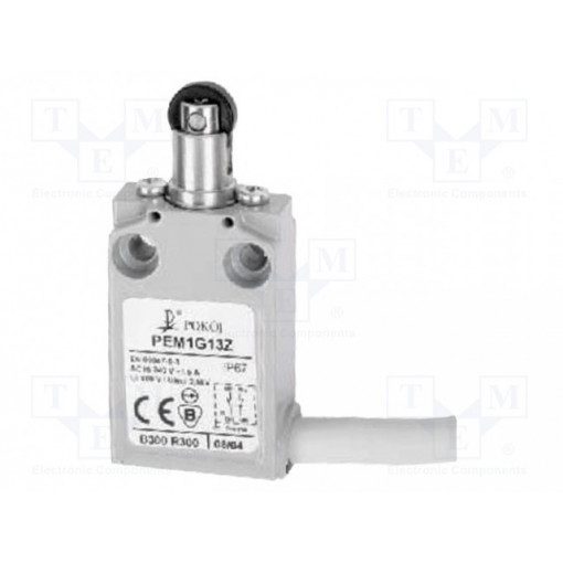 PEM1G13Z; Limit switch; oblong plastic roller Ø12mm; NO + NC; 5A; lead 1m; POKÓJ