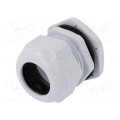 D.3077; Cable gland; PG36; IP67; Mat: polyamide; grey; PAWBOL