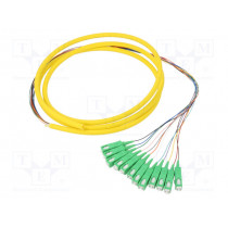 54361; Optic fiber pigtail; SC/APC,fiber; 2m; Input: fiber x12; QOLTEC