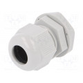 2411.621; Cable gland; M20; IP68; Mat: polyamide; light grey; RITTAL