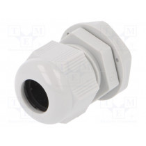 2411.621; Cable gland; M20; IP68; Mat: polyamide; light grey; RITTAL