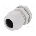 2411.631; Cable gland; M25; IP68; Mat: polyamide; light grey; RITTAL