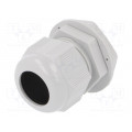 2411.641; Cable gland; M32; IP68; Mat: polyamide; light grey; RITTAL