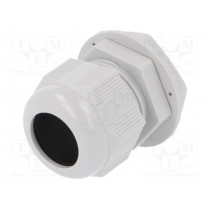 2411.641; Cable gland; M32; IP68; Mat: polyamide; light grey; RITTAL
