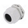 2411.651; Cable gland; M40; IP68; Mat: polyamide; light grey; RITTAL