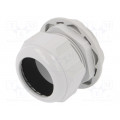 2411.671; Cable gland; M63; IP68; Mat: polyamide; light grey; RITTAL