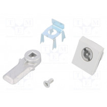 2420000; Lock; fibre glass reinforced polyamide; AE,for enclosures; RITTAL