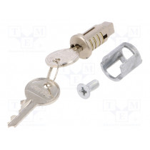 2571000; Insert for lock; cast zinc; Kind of insert bolt: cylindrical; RITTAL