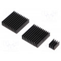 RPI-COOLKIT.9; Heatsink: extruded; grilled; Raspberry Pi; black; aluminium; TEKO