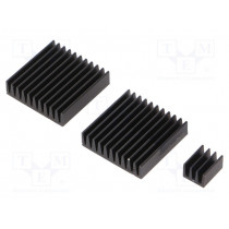 RPI-COOLKIT.9; Heatsink: extruded; grilled; Raspberry Pi; black; aluminium; TEKO