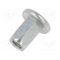 45092; Rivet nuts; 10pcs; Alfa Romeo,Fiat,Lancia; OEM: 7677561; ROMIX