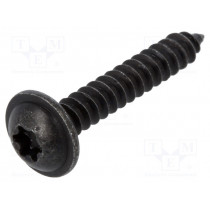 59224; Screw; 100pcs; 25mm; steel; black; Thread: 4,2; 4,2x25; ROMIX