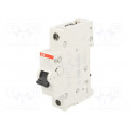2CDS251001R0064; Circuit breaker; 230VAC; Inom: 6A; Poles: 1; DIN; Charact: C; 6kA; ABB
