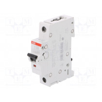 2CDS251001R0101; Circuit breaker; Inom: 10A; Poles: 1; DIN; Charact: D; 6kA; IP20; ABB