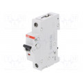 2CDS251025R0324; Circuit breaker; 230VAC; Inom: 32A; Poles: 1; DIN; Charact: C; 6kA; ABB