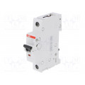 2CDS251025R0064; Circuit breaker; 230VAC; Inom: 6A; Poles: 1; DIN; Charact: C; 6kA; ABB