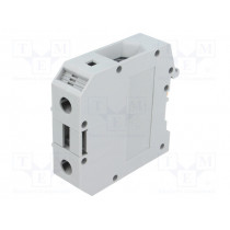 UKH 50 3009118; Splice terminal: rail; 50mm2; ways: 1; terminals: 2; grey; TS32,TS35; PHOENIX CONTACT