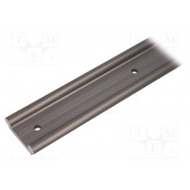 WS-10-40-750; Double rail; aluminium; Ø: 10mm; L: 750mm; W: 40mm; DryLin® W; igus