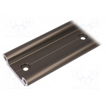 WS-16-60-750; Double rail; aluminium; Ø: 16mm; L: 750mm; W: 60mm; DryLin® W; igus