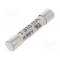 189140.0,315IP; Fuse: fuse; time-lag; 315mA; 500VAC; ceramic,cylindrical; 6,3x32mm; SIBA