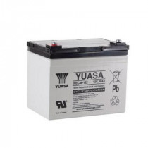 REC36-12I; Re-battery: acid-lead; 12V; 36Ah; AGM; maintenance-free; YUASA