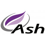 ASH TECHNOLOGIES ASH TECHNOLOGIES