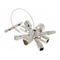 18189; Key; for control cabinets; PROLINE